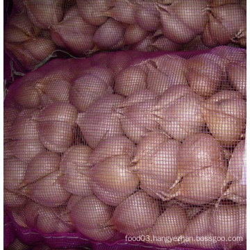 Exported Standard Fresh White Garlic